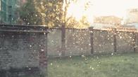 EFDBTH4 BREATHE360 Protipylový filter pro čističku vzduchu PURA A9