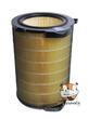 EFDBTH6 Ochranný filter Electrolux PURE A9 proti peľu 600 CADR