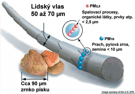 Porovnanie veľkosti vlasu, peľu a alergénov